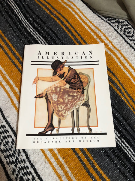 The American Illustration Collections of the Delaware Art Museum - book