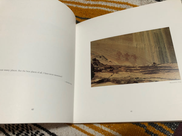 Gone to Sanctuary: From the Sins of Confusion - book