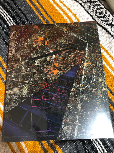 An Eclectic Focus: Photographs from the Vernon Collection - book