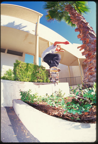 Jesse Silvey - Lemon Tree Ledge