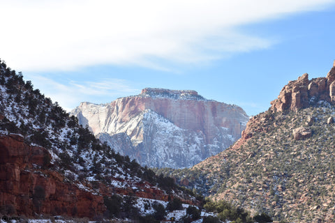 "Zion Plateau" - Photo print